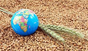 Мировой рынок зерна: фьючерсы на сою подросли в Чикаго, на пшеницу и кукурузу снизились в среду
